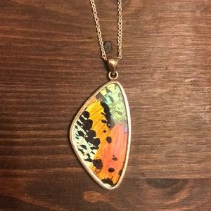 Sterling REAL Butterfly Wing Necklace! Brand New!